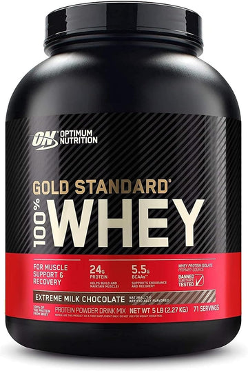 Optimum Nutrition (ON) Gold Standard 100% Whey Protein Powder Primary Source Isolate, 24 Grams of Protein for Muscle Support and Recovery - Double Rich Chocolate